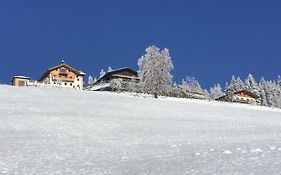 Daarhof